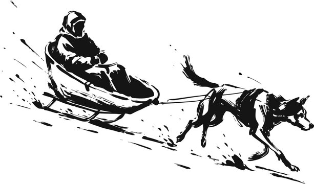 Dog sledding with musher running on snow in winter adventure sport activity