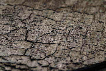 Fototapeta premium Close view of cracked wood surface showing detailed texture and wear patterns in natural light during the day