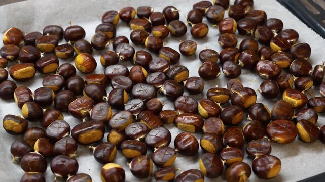 Closeup of scored chestnuts arranged on parchment before roasting, cooking tutorials and white background.