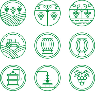 Collection of green line icons depicting various wine production and vineyard elements