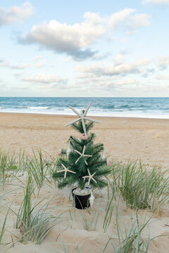 Christmas tree with starfish, shell ornaments in grassy sand dunes with ocean and blue sky and cloud