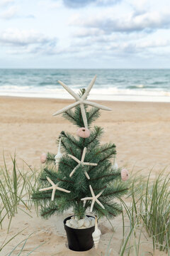 Close up of Christmas tree with starfish, shell ornaments in sand dunes with ocean and blue sky