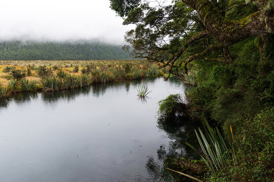 Tranquil, clouded shrouded misty, layered scene with trees, water, grasses and reflections