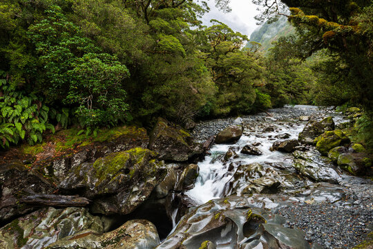 rocky cascades in a forest with mist