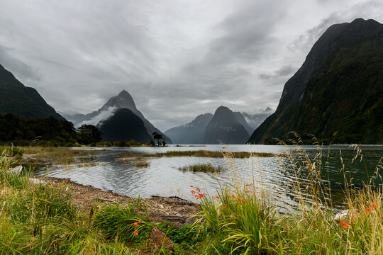 View across water of mountains with flowers and golden seed heads in the foreground