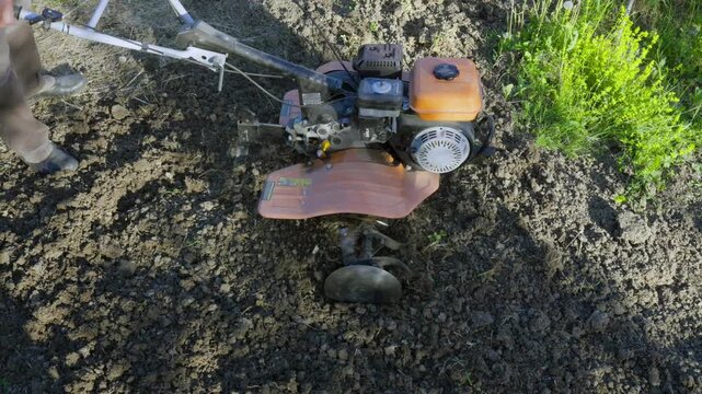 A high-angle shot of a farmer guiding a motorized rototiller through dry garden soil to break up clods and prepare a seedbed for planting.
