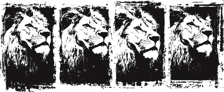 black and white grunge lion portraits majestic wildlife animal artwork in textured rough