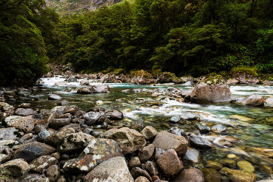 Creek with rapids flowing over rocks and trees in background