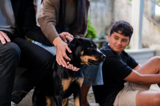 Maori woman petting kelpie dog with teenage boy sitting beside her