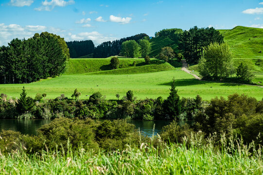 Rolling hills and trees surround a river with dense greenery along the banks under a bright blue sky