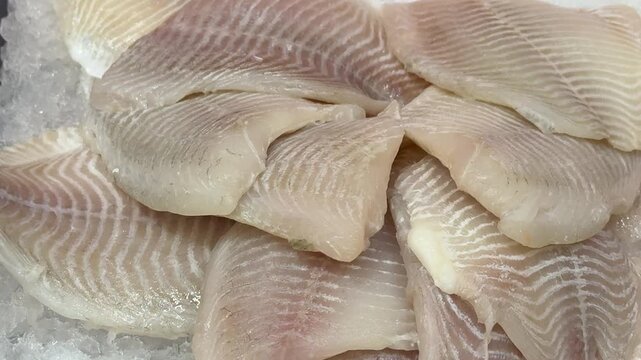 Zander fillet on shallow ice display close-up showing thawed pale flesh and scale pattern, glistening ice crystals, moist texture
