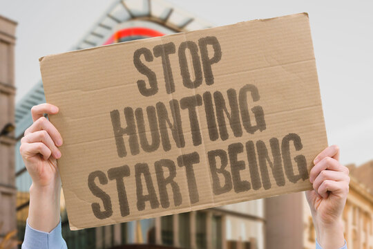 "Stop Hunting Start Being" research confirms authentic presence measurably more effective than adult romantic hunt. REAL. LIFE. MODERN. HUMAN. DATE.