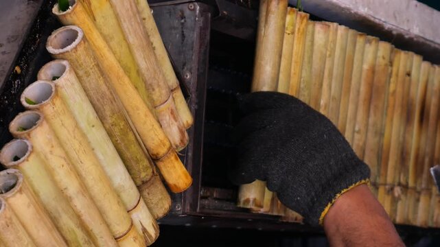 Sweet sticky rice with coconut milk in bamboo joints (Khao Lam), Thailand&rsquo;s traditional snack