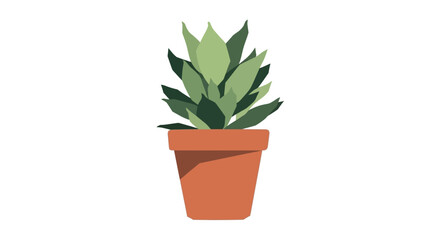 Fototapeta premium Potted Green Plant with Textured Leaves in a Terracotta Pot
