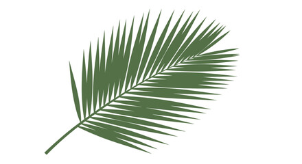 Fototapeta premium Palm Frond Greenery Tropical Leaf Isolated on White Background