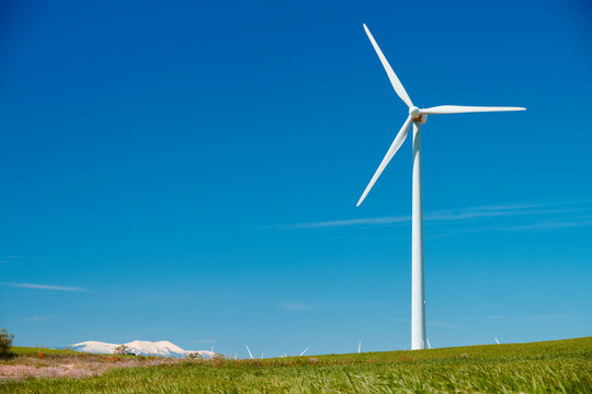 Windmills for renewable electrical energy production