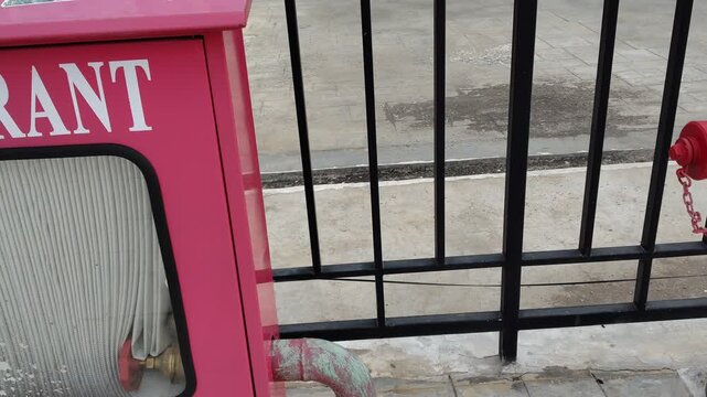 Red Fire Hydrant in Public City Park