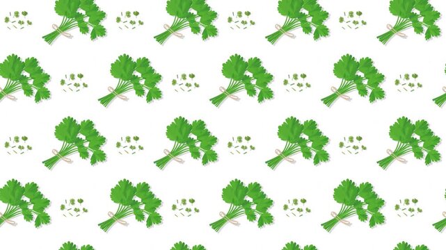 Fresh Cilantro Bundles and Leaves Seamless Pattern Background, herb and cooking garnish concept.