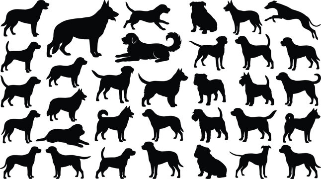 Dog Silhouette Set &ndash; Various Breeds Standing, Sitting, Running and Playing Poses