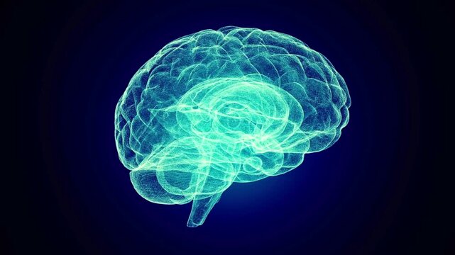 Vibrant abstract digital visualization of the human brain, illuminating the complexities of thought, intelligence, and cognitive processes in neuroscience research