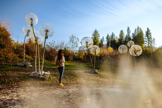 Woman exploring outdoor art installations of giant dandelions on an autumn travel lifestyle path, enjoying nature and wellness at Respiro degli alberi path, Lavarone, Paganella, Trentino, Italy.