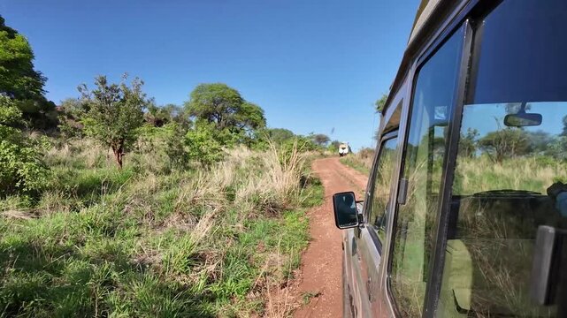 Zwei Safari Jeeps fahren durch den Tarangire Nationalpark in Tansania