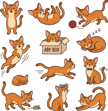 cute cartoon abyssinian doodle vector set design illustration