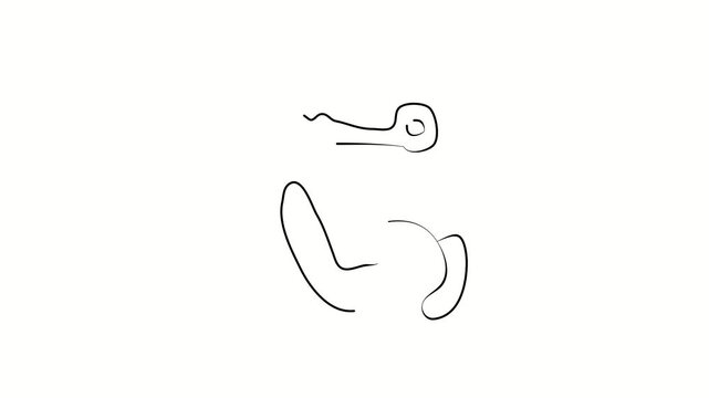 Hand catching a key, searching for a solution to a problem. An unconventional solution to the problem.. Contour drawing, silhouett animation. Continuous line. Isolated on white. Video 4k object illust