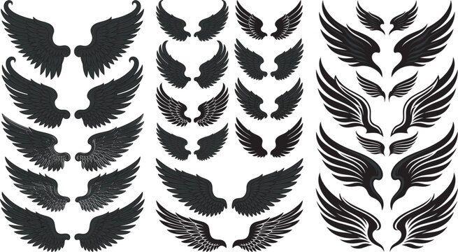 Black silhouette vector illustration of diverse wing designs including feathered, abstract, and symmetrical artistic wing patterns