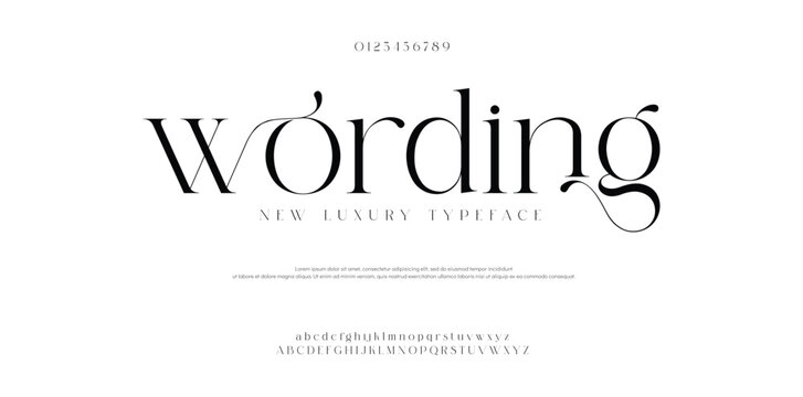 Wording, Typography typeface uppercase lowercase and number. vector illustration 