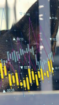 Vertical video: Dark dog turning head as camera shifting, candle chart sliding to show market focus
