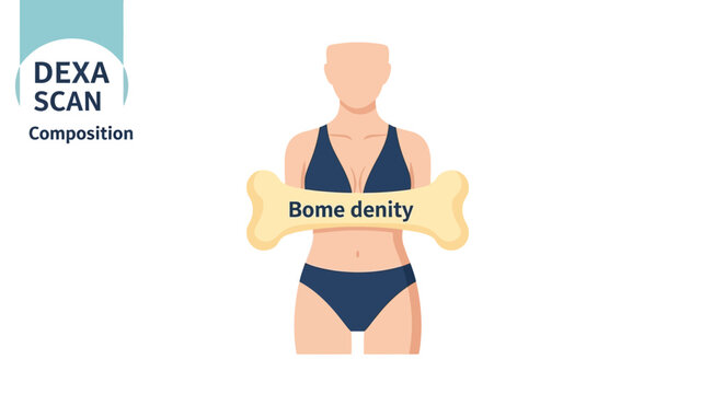 DEXA Scan Body Composition Analysis: Bone Density Health Check