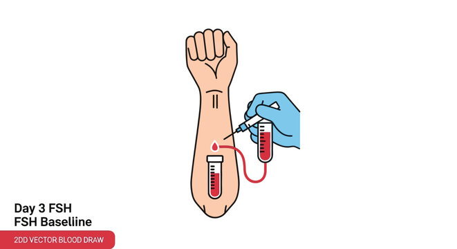 FSH Blood Draw Illustration: Day 3 Baseline Hormone Testing