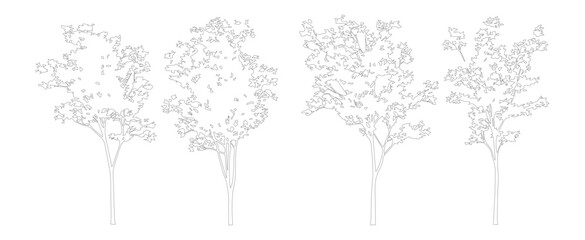 Minimalist architectural tree outlines, set of 4 vector line art trees for landscape design, thin black stroke foliage sketches on white background © Mm