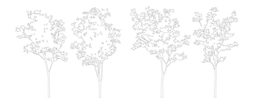 Minimalist architectural tree outlines, set of 4 vector line art trees for landscape design, thin black stroke foliage sketches on white background