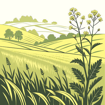 rolling hills and crop field illustration in shades of green