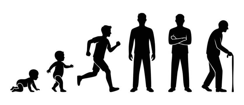 Human life cycle silhouette stages from baby to elderly man, chronological growth progression, aging process concept, development timeline from childhood to senior age, isolated black vector icons set