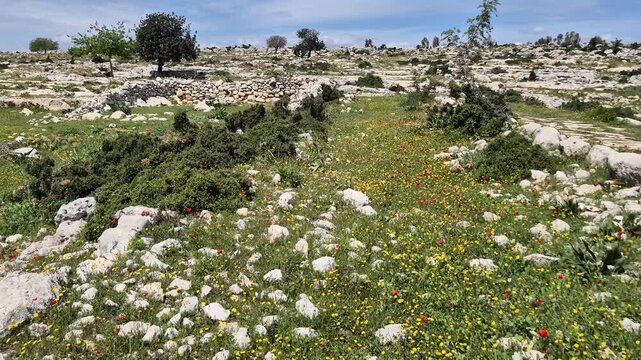 Ancient Roman Road Journey: walking through historical Roman Road in Sağlıklı Village Tarsus, Turkey
