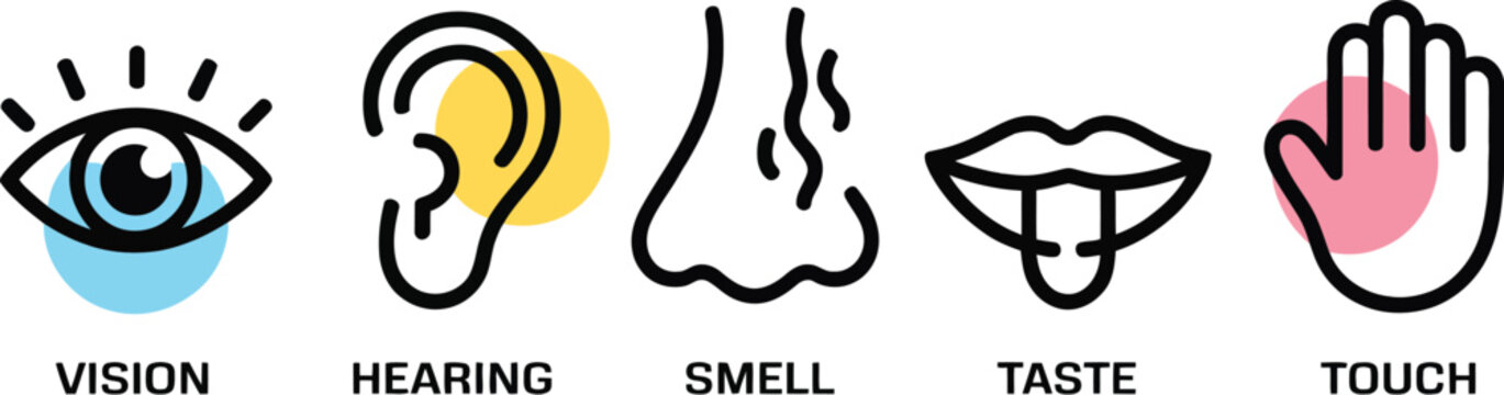 Human sensory icons illustration set, generic five senses symbols including vision hearing smell taste and touch for education and healthcare design.