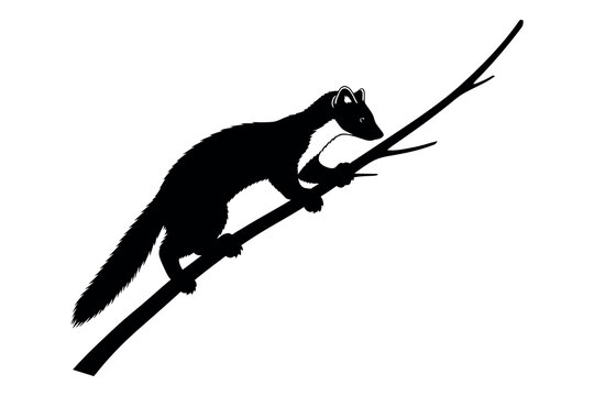Black silhouette of a possum climbing a branch against a white background