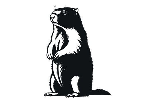 Wolverine silhouette a striking black and white illustration of a fierce mustelid