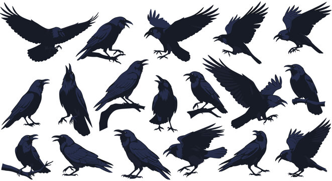 Silhouettes of ravens and crows in various poses like flying and perching create a dramatic black and white animal set.