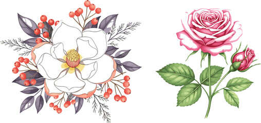 Rose and magnolia floral vector set featuring elegant blooming flowers with leaves and berries in detailed botanical illustration style © jafrine