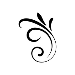 Obraz premium Vintage frames and scroll elements. Calligraphy swirls, swashes, floral motifs. Good for greeting cards, wedding invitations, royal certificates and graphic design