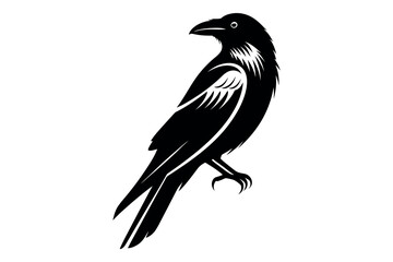 Obraz premium Elegant crow silhouette a detailed black and white illustration of a perched bird