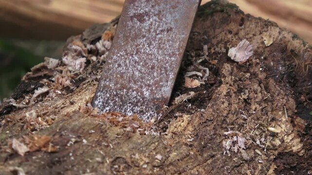 Detailed close-up shot of a skilled craftsman manually carving a rectangular hole into premium teak wood using traditional tools. The footage captures authentic wood shavings and sawdust scattering as