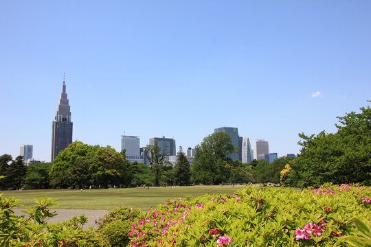 新宿御苑、風景式庭園とドコモ代々木ビル。