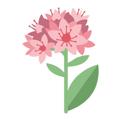 Fototapeta premium Pink Flower with Green Leaves floral isolated cutout