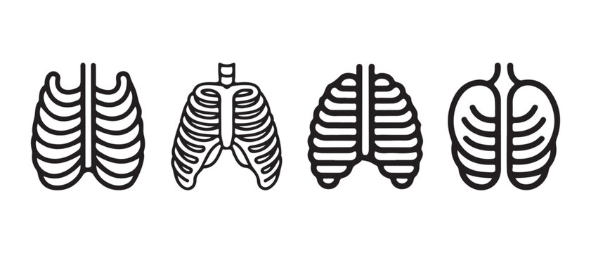 Human Rib Cage Anatomy Icons Set. in Minimalist Outline Style, Flat Design Vector Illustration.