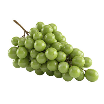 A fresh bunch of green grapes on a white background.
